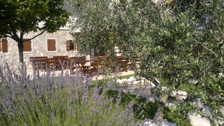 Andelic vinarija 4 768x431