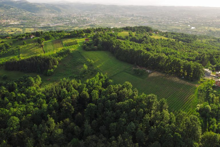 Crveni brijeg 1 768x512