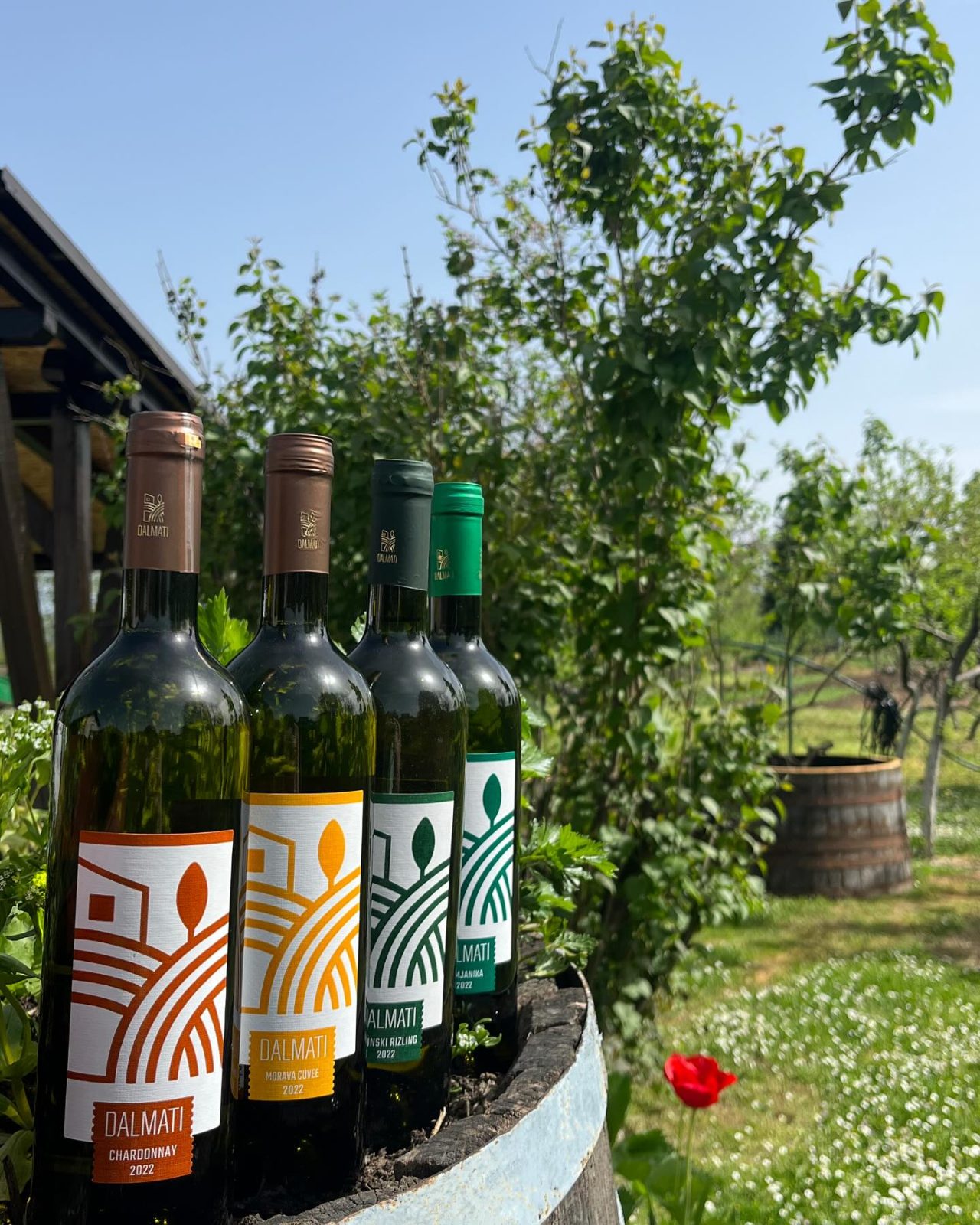 Dalmati vinarija 3 1280x1600