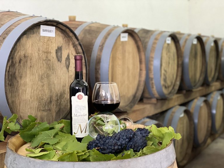 Dordan vinarija 1 768x576