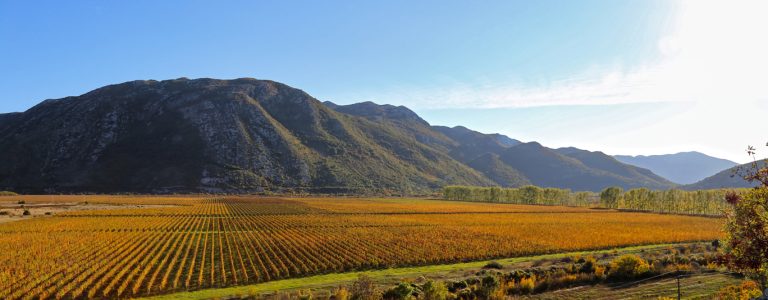 Dordan vinarija 2 768x300