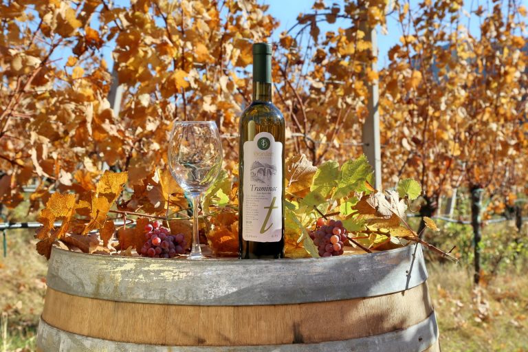 Dordan vinarija 7 768x512