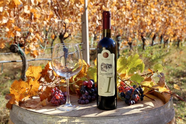 Dordan vinarija 8 768x512