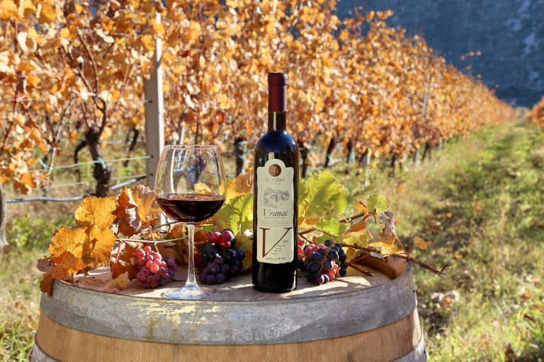 Dordan vinarija 9 768x512