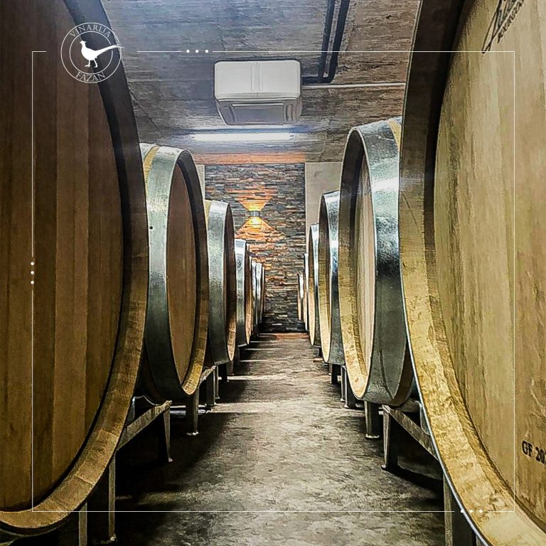 Fazan vinarija 4 768x768