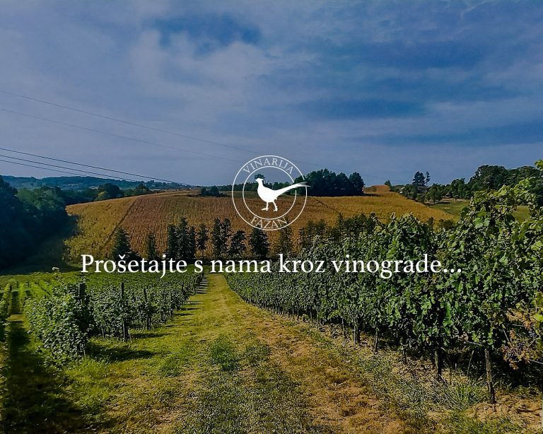 Fazan vinarija 5 768x614