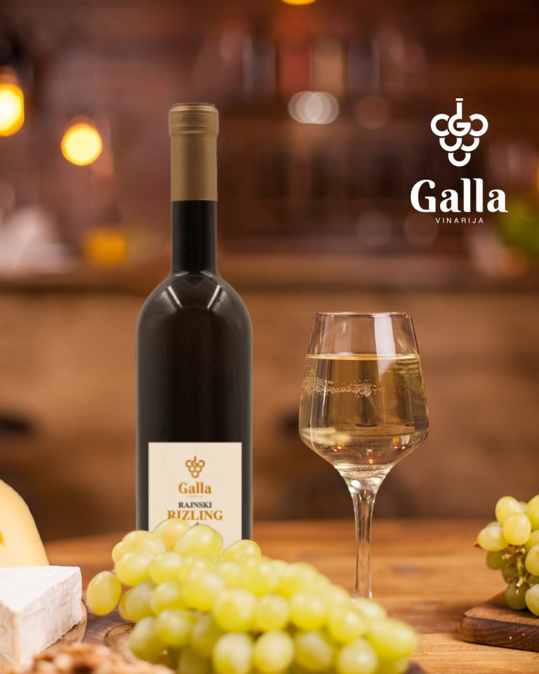 Gala vinarija 6 768x960