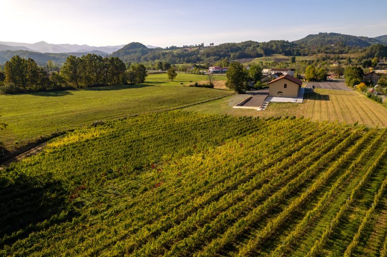 Gotovac vinarija 3 768x511