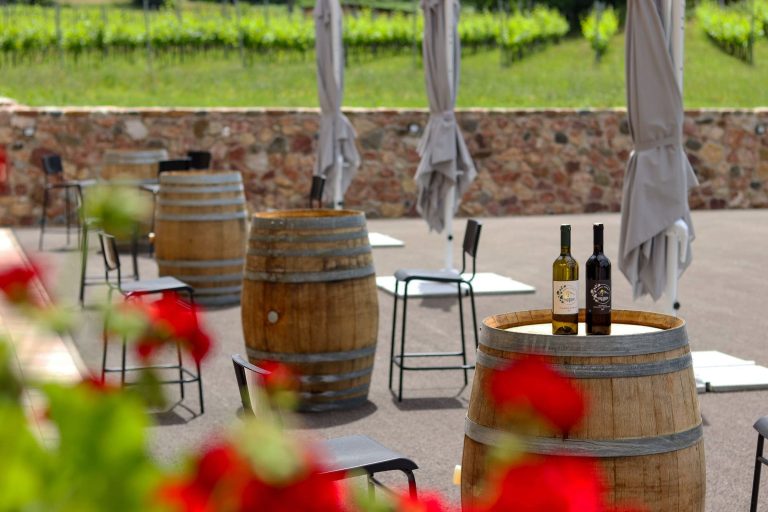 Gotovac vinarija 4 768x512