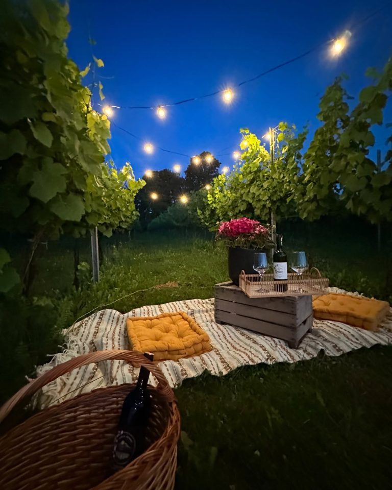 Gotovac vinarija 8 768x960