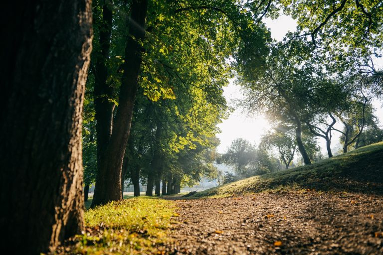 Hotel Kardial Teslic 4 768x512