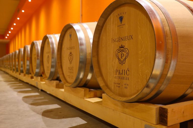 Pajic vinarija 1 768x512