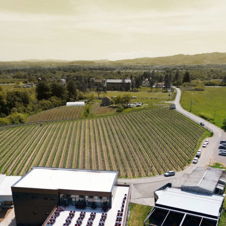 Pajic vinarija 3 768x768