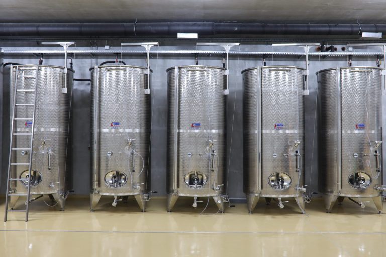 Pajic vinarija 6 768x512