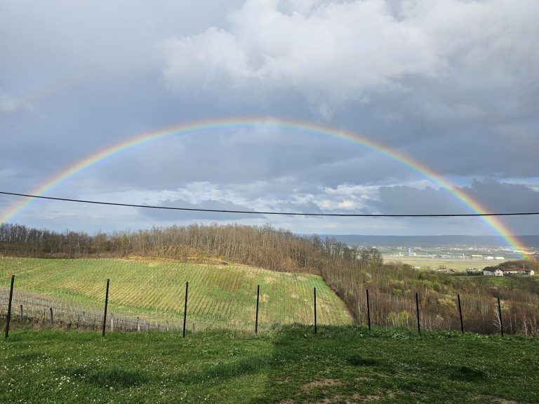 Podrum Banjalucke biskupije 2 768x576