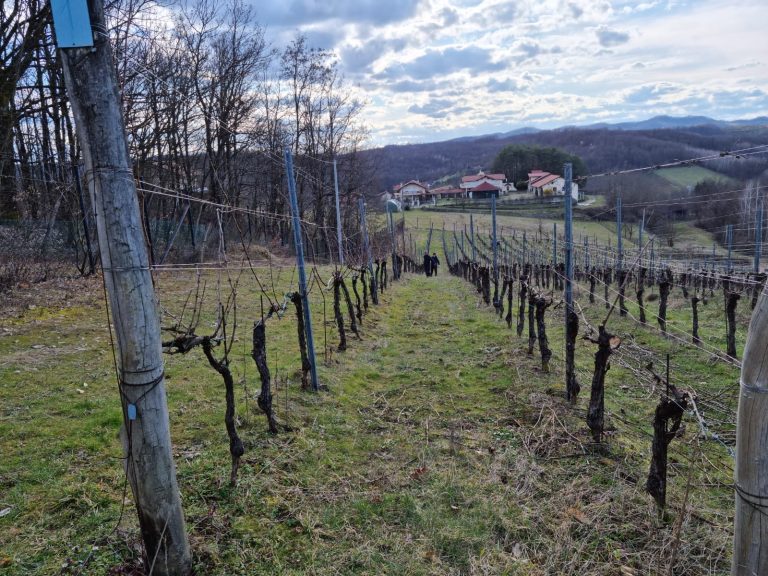 Podrum Banjalucke biskupije 3 768x576