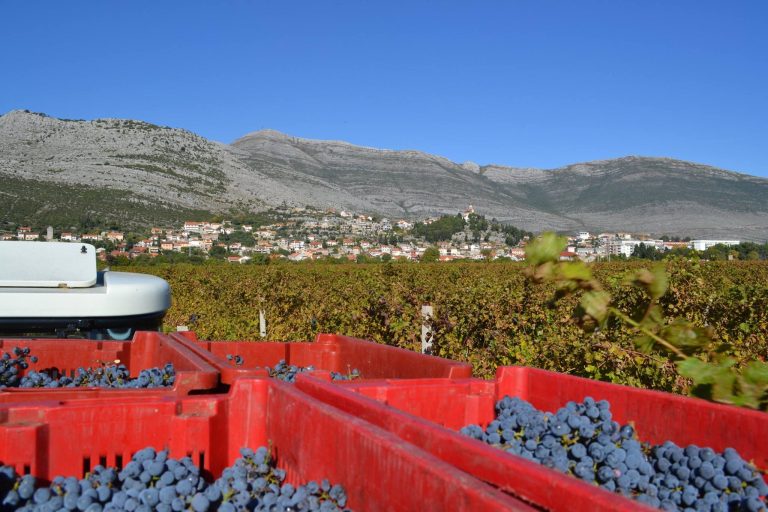 Podrumi Vukoje 7 768x512