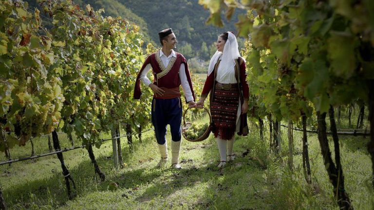 Podrumi Vukoje 9 768x432