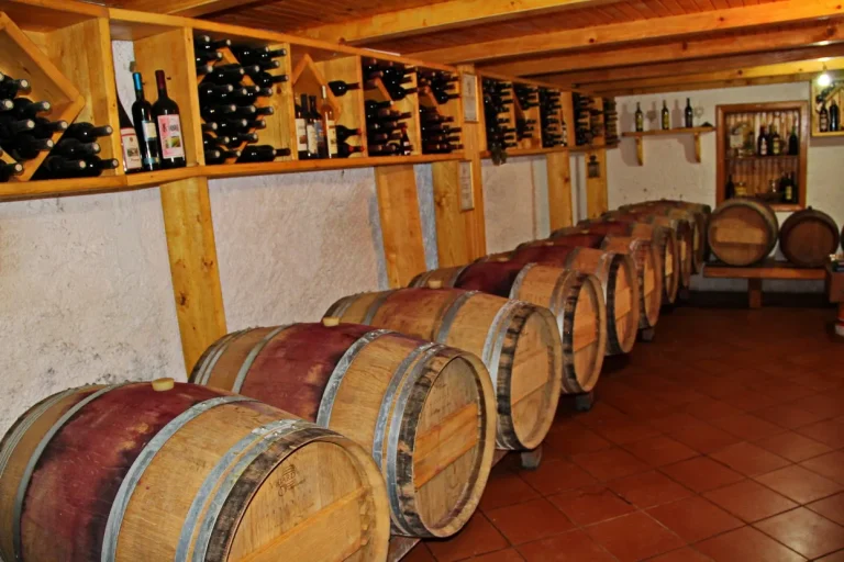 Popovac vinarija 3 768x512