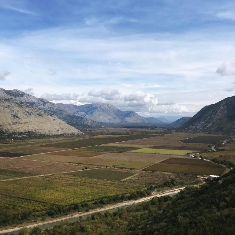 Vera vinarija 1 768x768