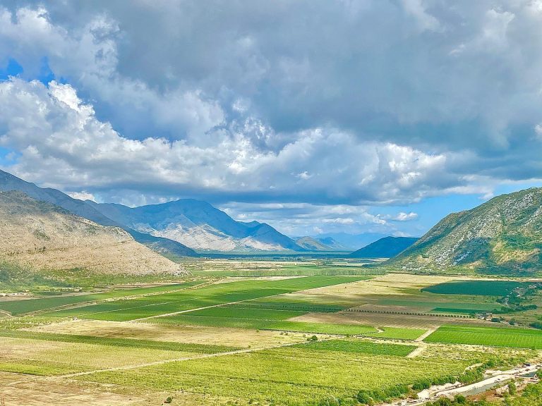 Vera vinarija 2 768x576