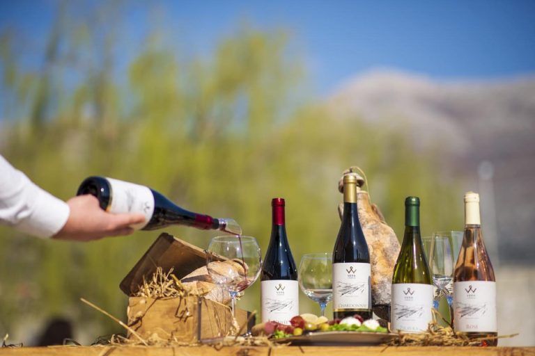 Vera vinarija 3 768x512