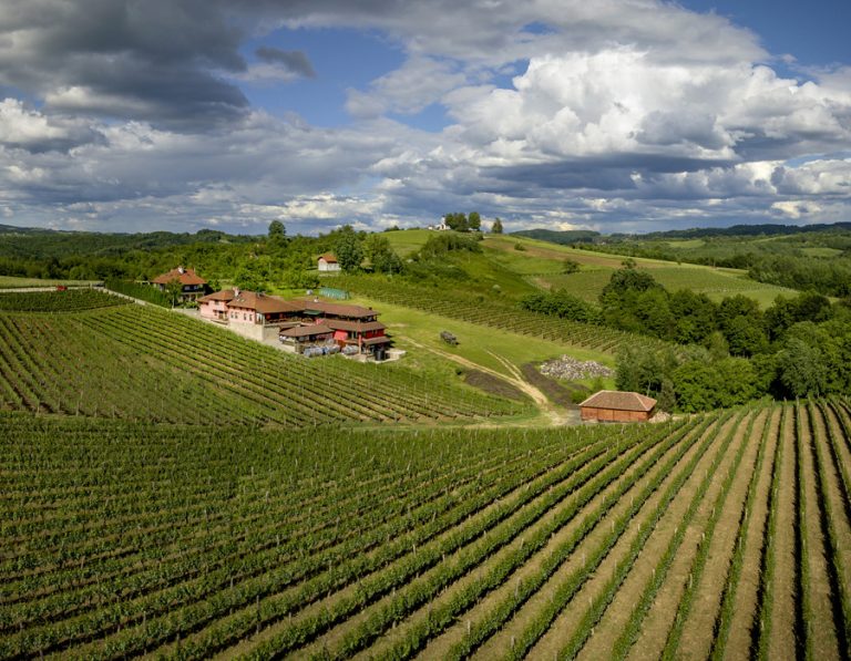 Vinarija Jungic 3 768x597