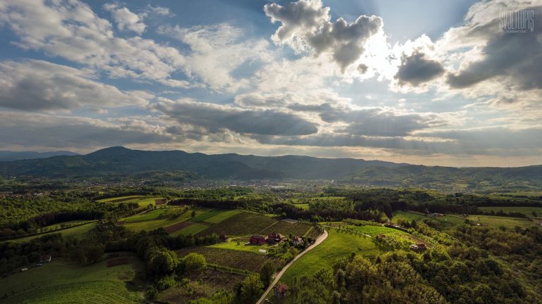 Vinarija Jungic 7 768x432